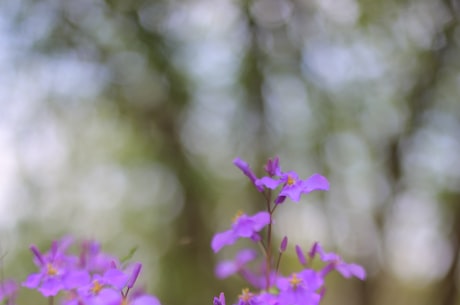 桃花源记以什么为线索(桃花源记以什么为线索 - 重走桃源路，究竟寻找着什么？)