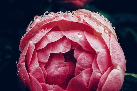 胡莱战国辅助 朱芳雨另辟蹊径