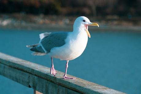 海鹰数据(海鹰数据：专注于数据可视化和分析的企业)