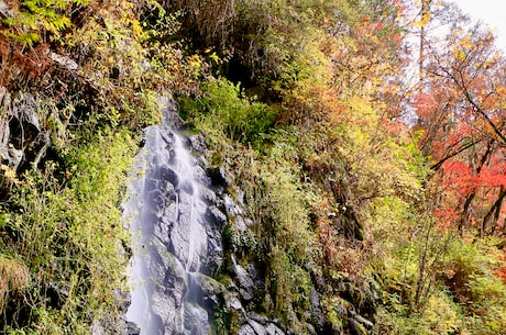 威海成山头(探秘威海成山头自然景观)