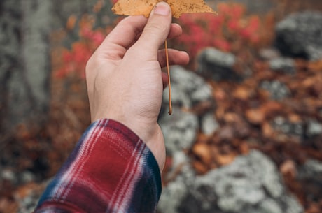 bt磁力链 最好磁力 经CT检查发现