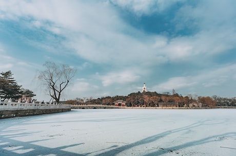 桃矢和雪兔(小众文艺游戏《桃矢)