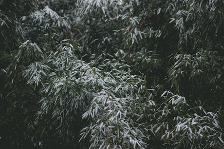 泰安的(泰安的泰山，人间仙境)