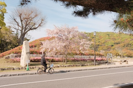 河南理工大学研究生处 河南理工大学未来储能技术学院是河南省首个未来技术学院