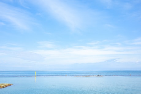 海贼王后宫小说(《海贼王后宫小说》：人气动漫海贼王的一个小世界)