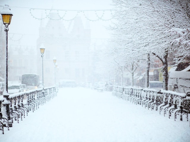 雪尼尔(了解雪尼尔的前世今生)