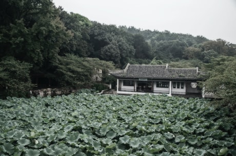 广东省揭阳市普宁市 诊断为无症状感染者