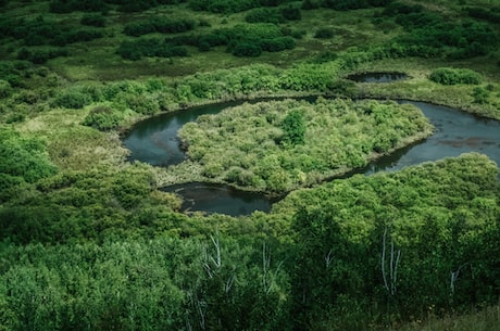 古冶(古冶区：绿水青山变成了浅咖色曾经，如今，她又重回绿水青山)