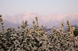 仙台山(【仙台山】探秘中国古老的山岳圣地)