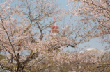 曹家大院(曹家大院：世代传承的文化遗产)