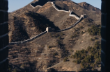 北京香山植物园(探索自然之美，行走在北京香山植物园)