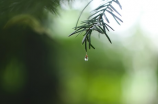 雨夜里的浪漫情愫